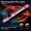 EverBrite Pen Light Rechargeable 300 Lumens Zoomable LED Memory Function