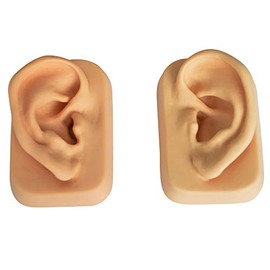 Ear model (pair) for ear acupuncture made of soft plastic in original size. Leonidov