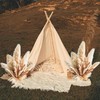 Decorative Tall Pampas Grass for Floor Vase – Premium Large