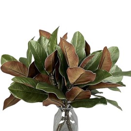 Tallos De Follaje Artificial | Hojas Verdes de Magnolia de 56 cm,Ramas Artificiales Para Decorar Jarrones - Para Interior Exterior Hogar Oficina Mesa Centros De Mesa Boda Fiesta Vacaciones Navidad Dec