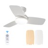 Amico Ceiling Fans with Lights, 30 inch Low Profile Ceiling