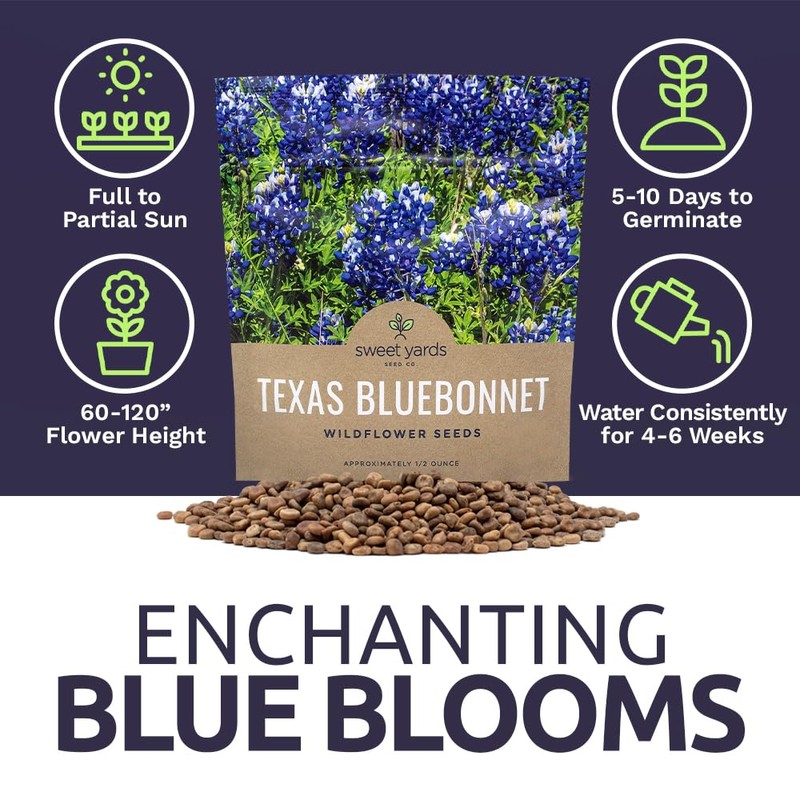 Texas Bluebonnet Wildflower Seeds - Bulk 1/2 Ounce Packet -