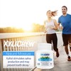 Xylichew 100% Xylitol Chewing Gum - Non GMO, Non Aspartame,
