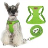 PUPTECK Adjustable Dog Harness and Leash Set for Small Dogs