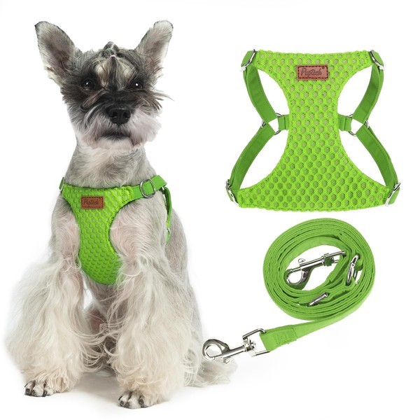 PUPTECK Adjustable Dog Harness and Leash Set for Small Dogs