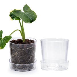 Phoenix Vine 4.5 Inch Clear Acrylic Planter Pot with Tray, Orchid Pot with Drainage Holes, Deep Saucer for Bottom Watering, Transparent Containers for Indoor Plants, Herbs, Set of 2, 91-A-E-2