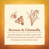 Candle by the Hour 80-Hour Citronella Candle, Glass Cylinder, Eco-friendly