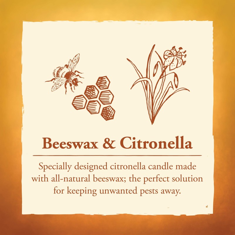 Candle by the Hour 80-Hour Citronella Candle, Glass Cylinder, Eco-friendly