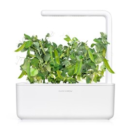Click and Grow Smart Garden Dwarf Pea Plant Pods, 3-Pack