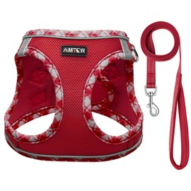AMTOR Small Dog Harness with Leash Set, No Escape Easy Walk Puppy Harnesses for Training Walking, Step-in Reflective Soft Dogs Vest for XS S Medium Extra-Small Large Sized Dog(XXS Size,Red/White)