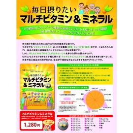 Made in Japan [For Pregnancy Supplements! 2 Capsules of Folic Acid 400 ] "Multivitamin & Mineral Supplement" 12 Types of Vitamins & 5 Types of Minerals (Approx. 30 Day Supply) 2 Bags