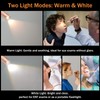 RISEMART 2-Pack Pen Light for Nurses – Medical Penlight with