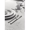 Alessi BG02/7 Amici Tea Spoon, 18/10 Stainless Steel, Silver