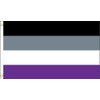 Trade Winds [Weathertek 3x5 Foot Asexual Day Flag - Vivid