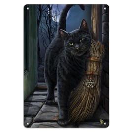 Midsouth Products Lisa Parker - Placa de latón con imán, 20,32 x 29,94 cm