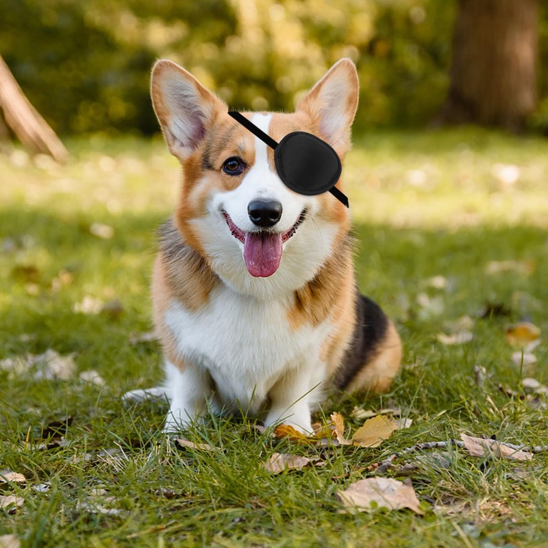 YeeBeny Dog Eye Patch, Eye Protection for Dogs, Adjustable, Groove