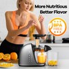 Cold Press Juicer Machine: Easy to Clean Slow Masticating Extractor