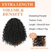 Lommel Ponytail Extension,10 Inch Ponytail Extension for Black Women Curly
