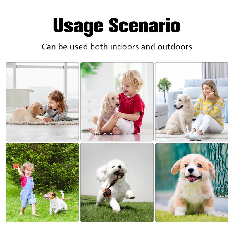 2 Pack Stainless Steel Dog Bowl Anti-Skid Non-Toxic Pets Food