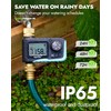 RAINPOINT Sprinkler Timer with Brass Inlet & Outlet, Programmable Hose