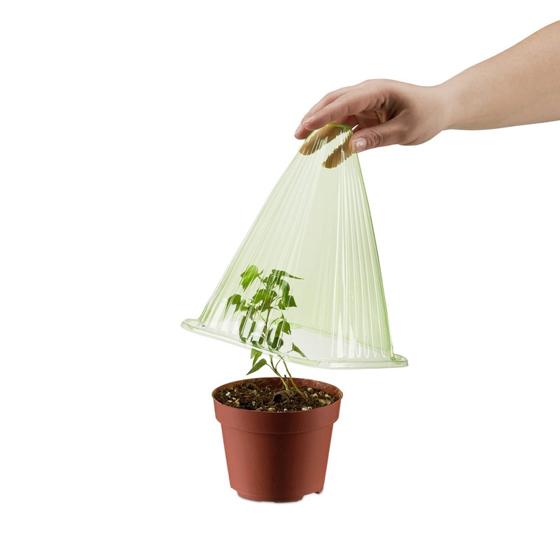 Relaxdays Set of 48 Plant Cloches, Green