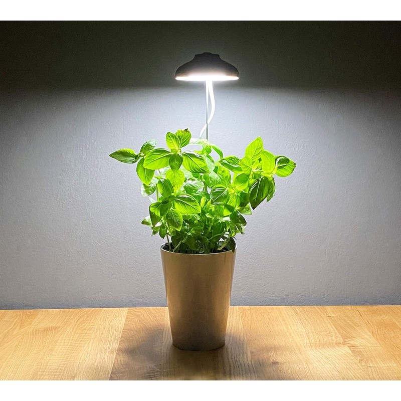 Northpoint LED 7 W Plant Light Plant Lamp Plant Lighting