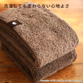 Oka Face Towel, Light Brown, Approx. 13.4 x 30.3 inches (34 x 77 cm), PLYS Base (Pris Base) Sofy (Imabari)