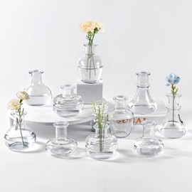 Clear Glass Bud Vase, 10Pcs/Set Modern Decorative Small Mini Flowers Vases, Minimalist Aesthetic Home Decor Vintage Wedding Table Centerpieces for Single Flower Rose (Clear)