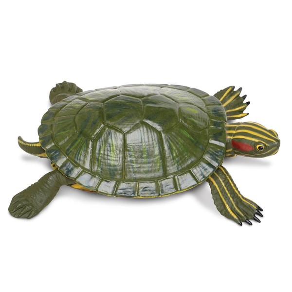 Safari Ltd. Red-Eared Slider Turtle Figurine - Realistic 5.25" Model Figure - Educational Toy for Boys, Girls, and Kids Ages 18M+