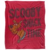 SCOOBY DOO! Silky Touch Super Soft Throw Blanket 152 x