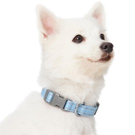 Blueberry Pet Essentials Pastel Color Reflective Dog Collar in Baby Blue, Small, Neck 12"-16"
