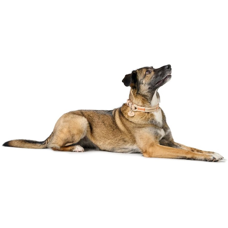 HUNTER Malia Dog Collar Colour: Dove Blue/Natural, Made of Soft