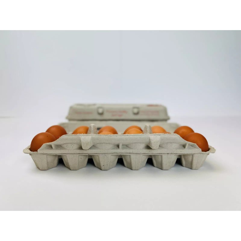 Zellwin Farms Company Printed Egg Carton (Barn/Rooster) - 100 UNITS
