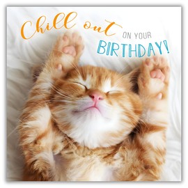 Abacus Cards Funny Male/Female Birthday Card - Happy Birthday Card for Men/Women with Humorous 'Chill Out' Sleeping Kitten Design