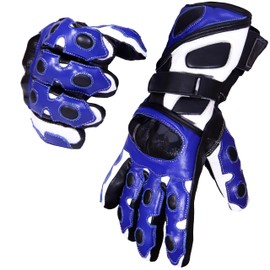 Men's Premium Motorcycle Leather Gloves Motorbike Racing Thermal Protection Hard Knuckle Motorbike (Blue, Small)