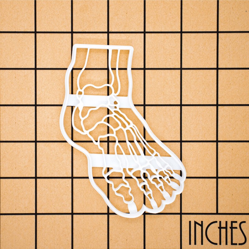 X-ray Human Foot Cookie Cutter 1 Piece. Bakerlogy