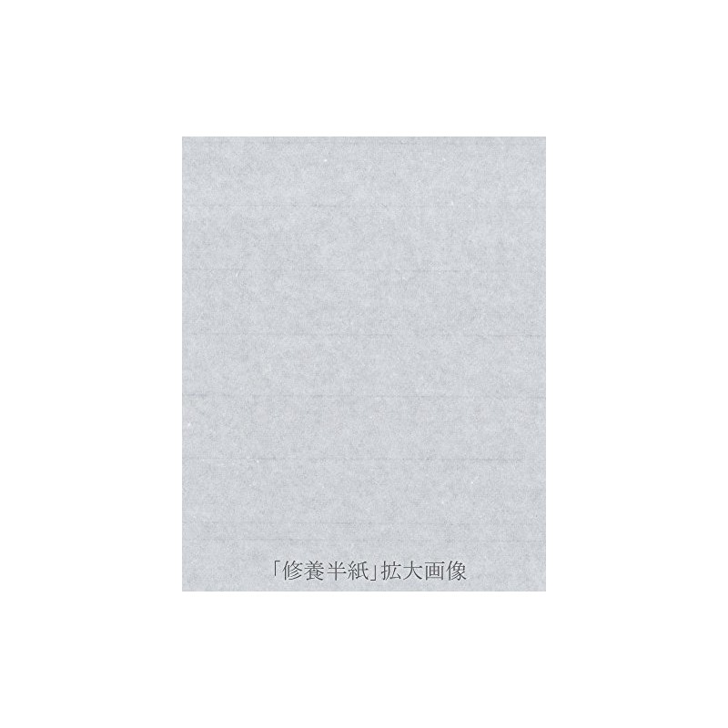 Koubai-do Calligraphy Hanshi, Cultivation, 100 Sheets, For Practice/Clear Calligraphy