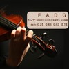 4/4 Violin Strings 4pcs/set Violin Strings Full Size Violin String