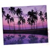 FUNOMOCYA Home Decor Wall Tapestry Wall Art for Bedroom Tapestry