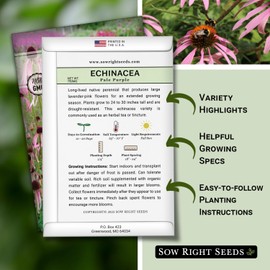 Sow Right Seeds - Pale Purple Coneflower Seeds for Planting - Non-GMO Heirloom Packet with Instructions to Grow an Outdoor Flower Garden - Perennial & Medicinal Echinacea pallida - Pink Native (1)