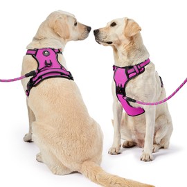 NESTROAD Rose Red Dog Harness, Anti Pull Medium Dog Vest Harness and Lead Set, Size M for Medium Dogs Neck 13~17" Chest 17-25", Reflective No-Choke Escape Proof Pets Accessories for Training Walking