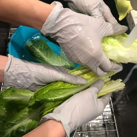 Infi-Touch - (250 Count) Food Safe - Lite Duty Nitrile Gloves, Lite & Tough, Disposable Gloves (Large)