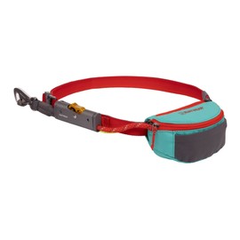 Ruffwear, Hitch Hiker Dog Leash, Adjustable Leash & Hitching System for Camping & Hiking, Aurora Teal