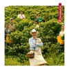 Duopack Café Soluble Liofilizado Avellana Y Vanicanela95gr