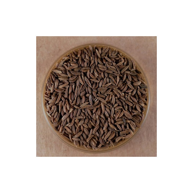 Caraway Seeds, Whole - 4.1 oz Stovetop Shaker Jar