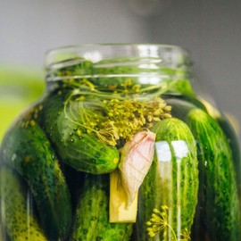 Rhinish Pickle Cucumber Seed 3 Gram ~144 Seeds – Heirloom Non-GMO, Vining Pickling Cucumber Variety, Crisp 4–6" Fruit, Open-Pollinated, Fast Growing, Vegetable Seeds for Garden & Market Growers