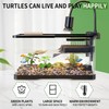(Tank + Light +Pump + Filter + Filter Balls) Turtle