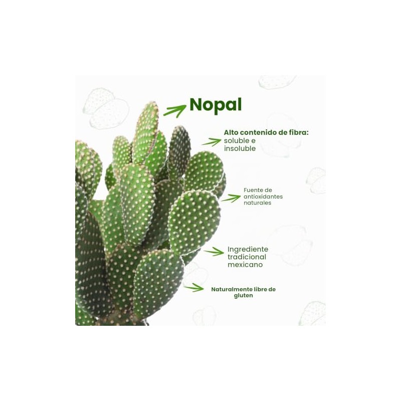 Nopalina Piña 454 g Suplemento Alimenticio de Fibra con Linaza