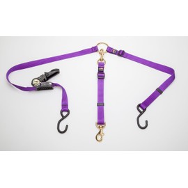 Cetacea Pet Truck Bed Tether with Ratchet Tightening Hardware, One Size, Purple