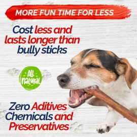 Fresh Farms Natural Collagen Sticks for Dogs 5 Pack - 12 Inches – Long-Lasting Alternative to Bully Sticks, Rawhide-Free Collagen Chews w/Chondroitin & Glucosamine for Joint Support & Dental Health